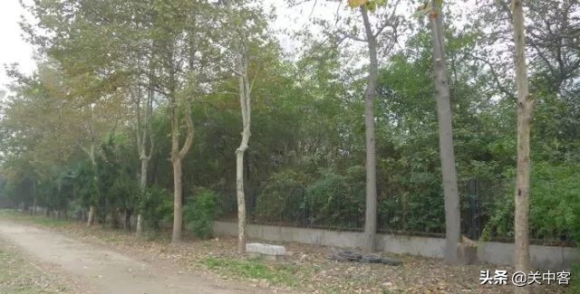 唐朝和秦朝汉朝的宫殿在哪,秦汉关中宫殿分布图