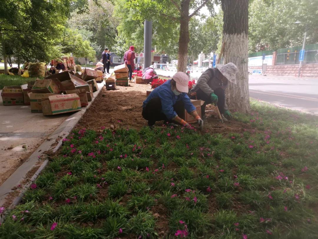 全力以赴,全力以赴重逢可期