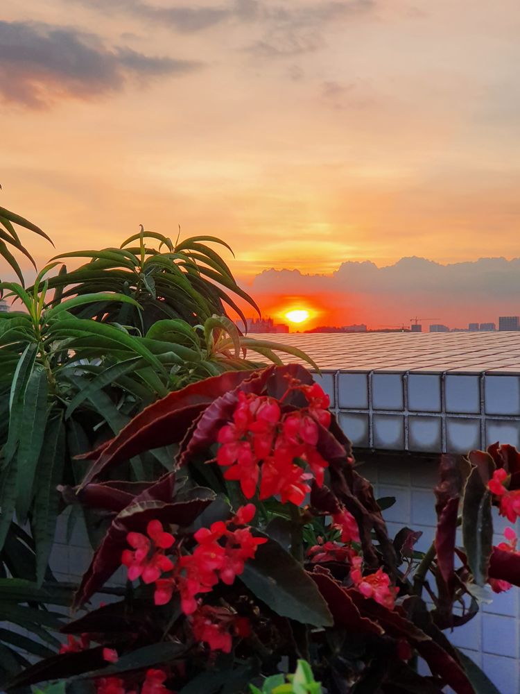 15平米露台改造成功案例,50平方楼顶改造露台和花园