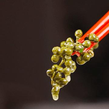 别再说禄鼎记变了，它只是“骚”出花样了