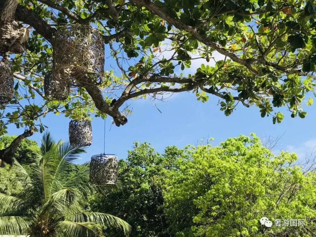 大溪地和塞舌尔岛哪个漂亮,和大溪地齐名的海岛