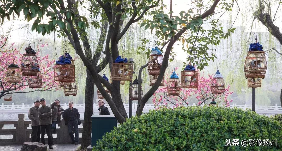 扬州古运河风光带图片,扬州旅游景点古运河图片大全