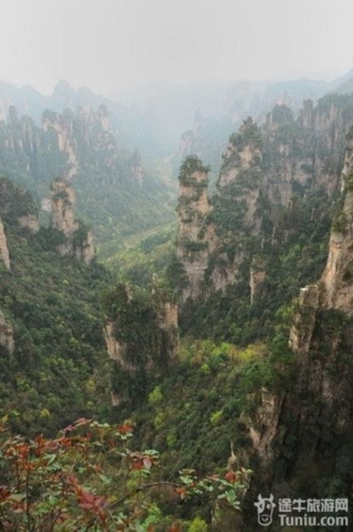 张家界凤凰五日游线路攻略最新版,张家界凤凰七日游详细攻略