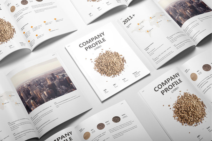 深圳企业宣传画册制作流程,深圳企业宣传册设计案例