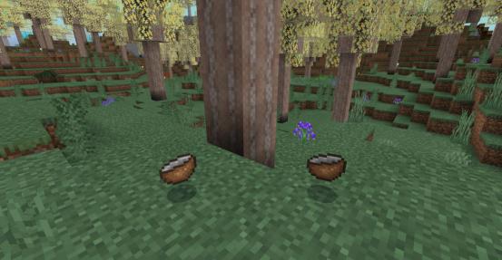 我的世界星际探险迫降背后的故事 (我的世界星际探险迫降生物讲解)