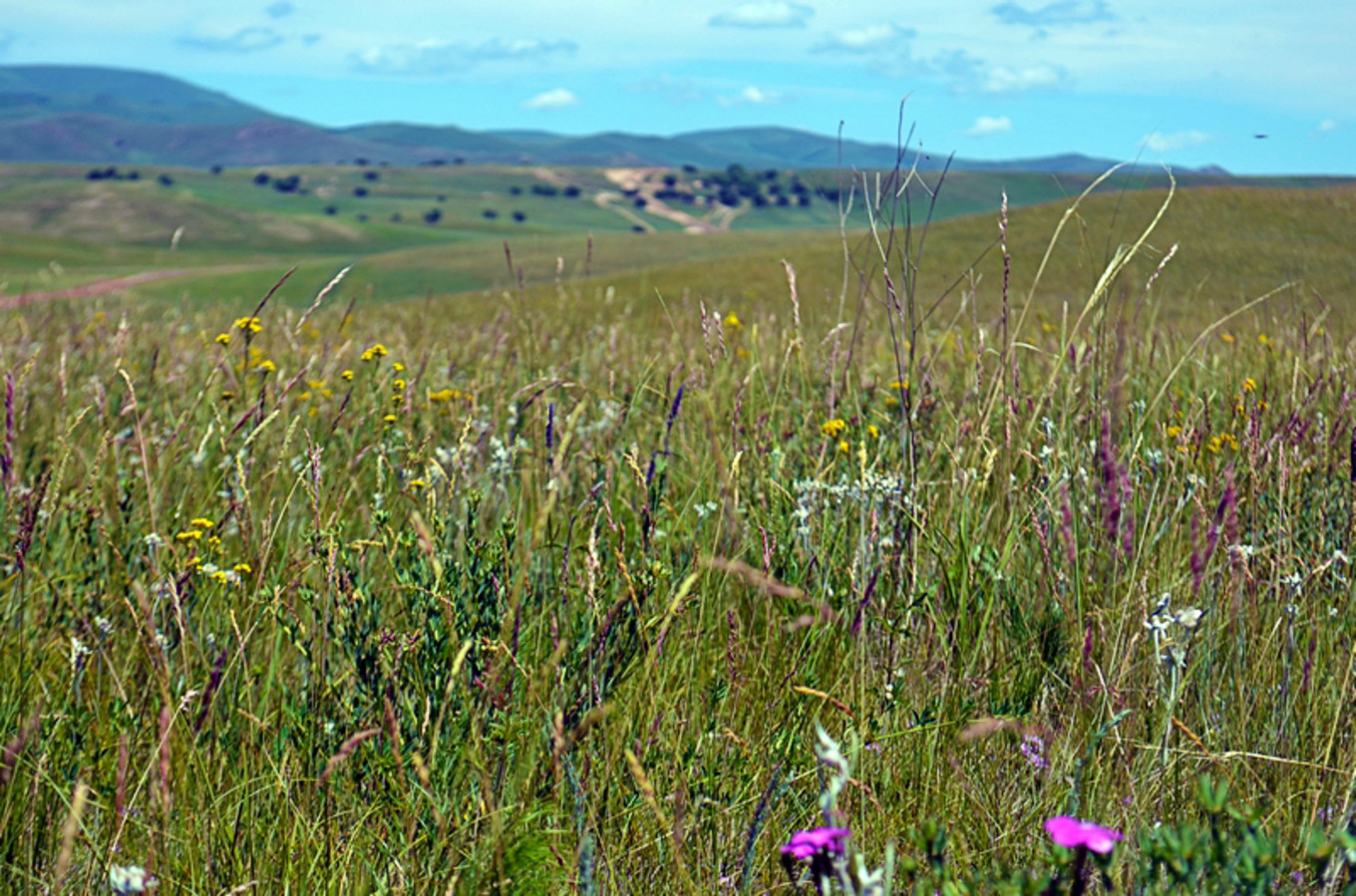 乌珠穆沁草原狼图腾,狼图腾草原魂歌曲