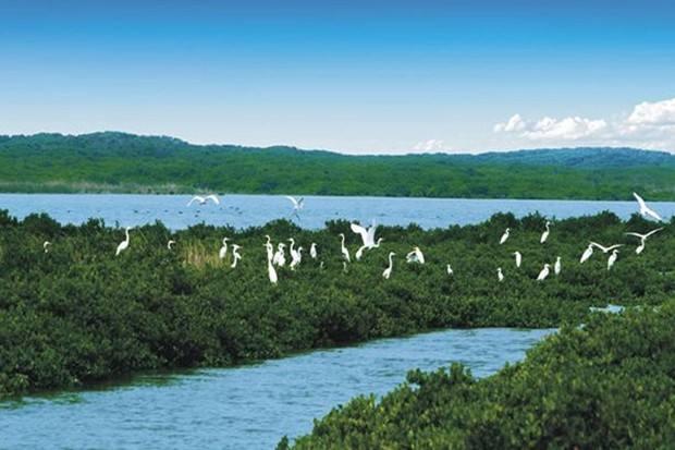 久居养生，坐享升值，碧桂园十里金滩，海景房中的潜力股