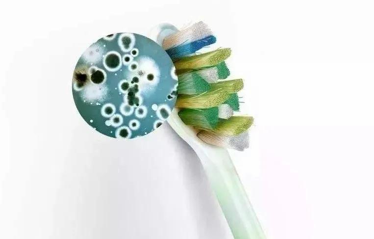 生活用品日常清洁小妙招,日常生活卫生如何打理好