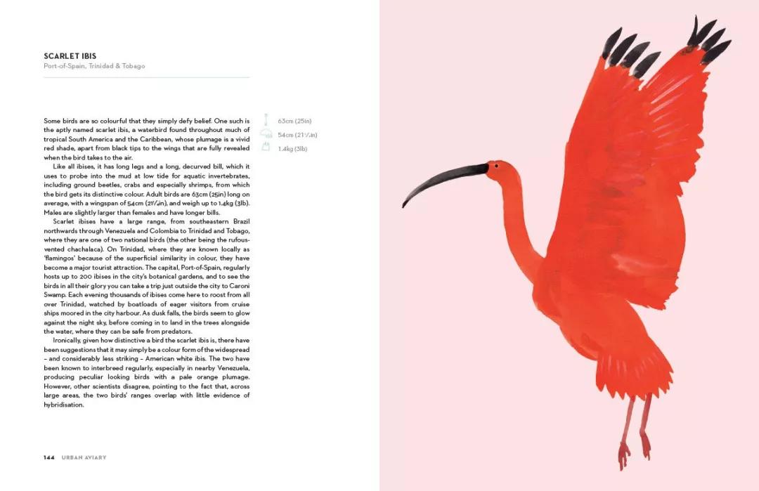 童真稚趣,稚拙童趣天真