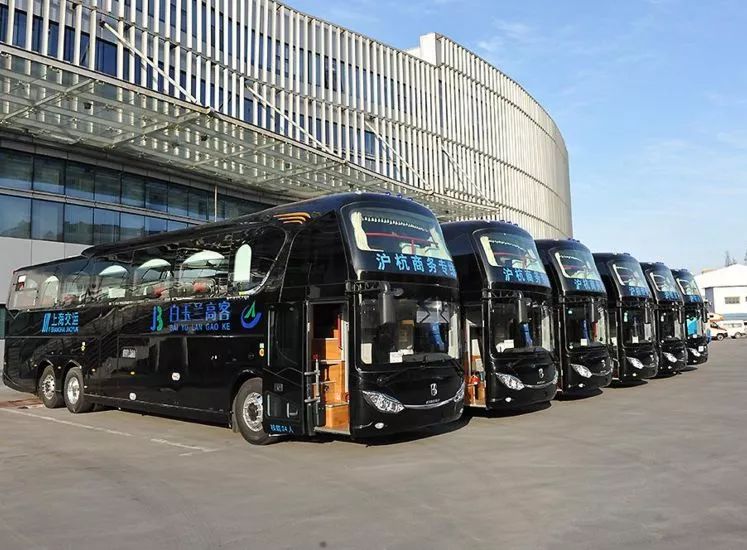 金山人现在怎么样,金山人免费活动