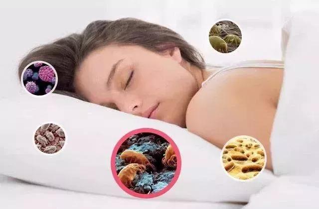 日本干发帽正确使用方法,日本干发帽