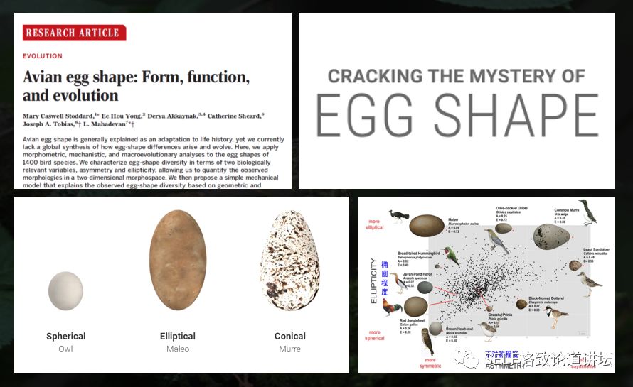 科学家如何观察植物,鸟类的研究方法