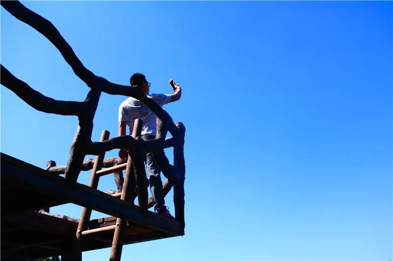 抱犊崮门票半价政策,中考生福利重庆