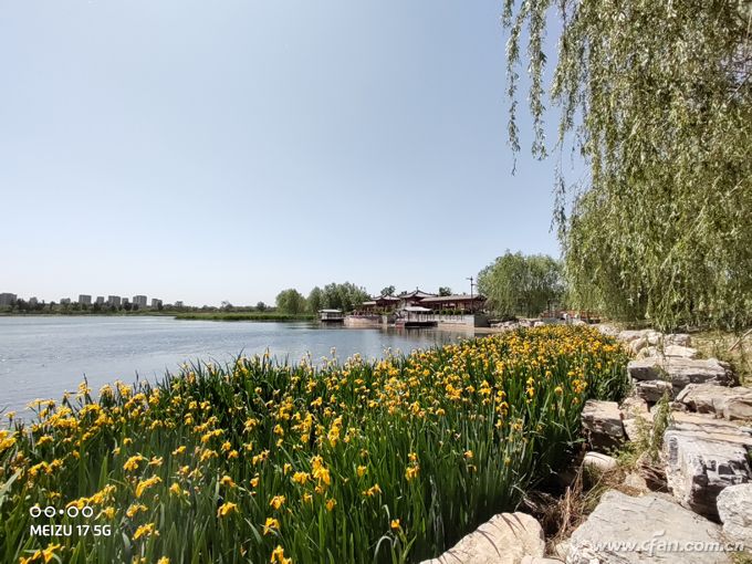 小白测评魅族17深度体验,魅族17显示5g网络还是4g