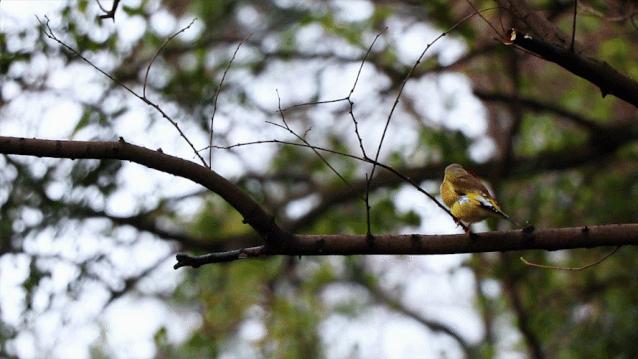 李时珍亲口品尝药材是为了什么,李时珍真实传说