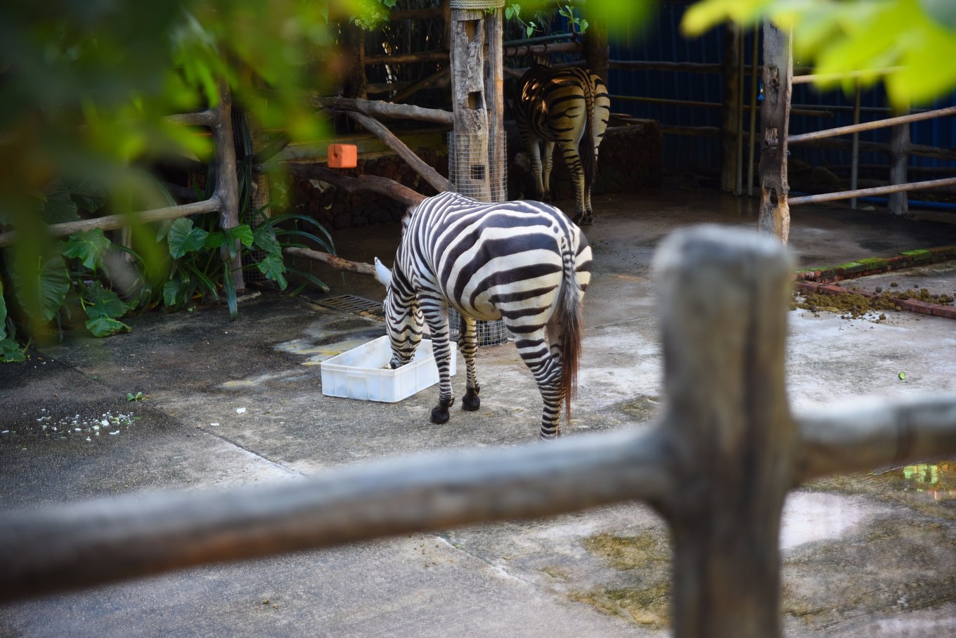 宋城千古情哪个区好,宋城千古情哪排的位置好