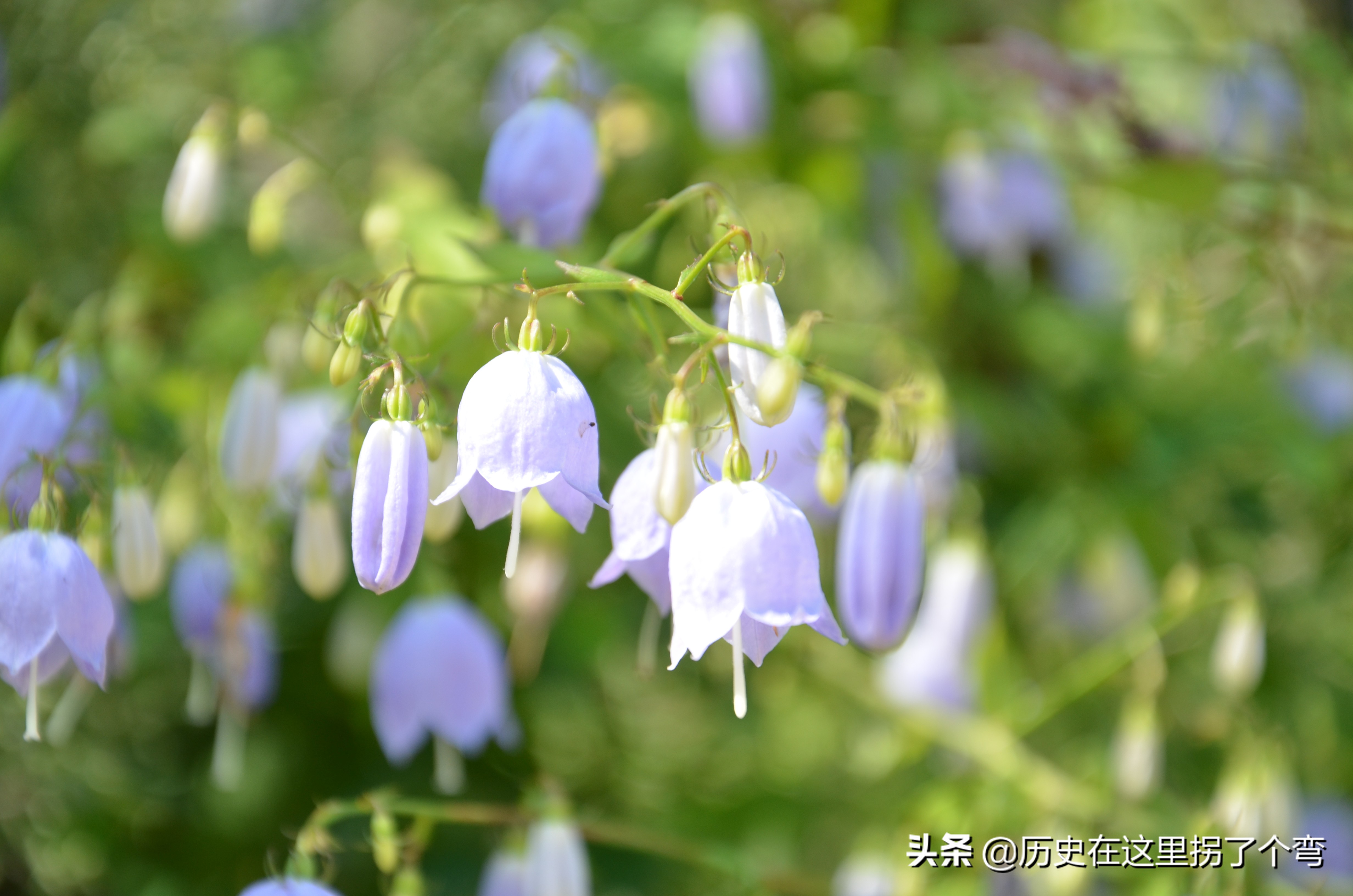 农耕文化一览表,农耕文明源头之十三