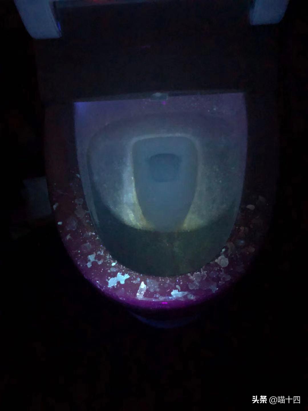 宠物荧光伍德氏灯,猫癣专用伍德氏灯