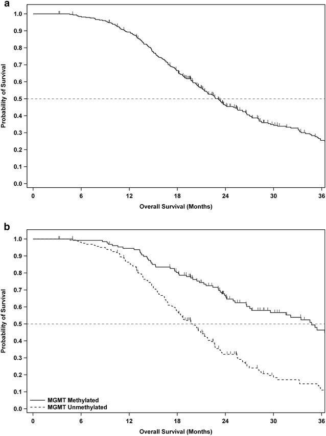 胶质瘤免疫治疗,胶质瘤免疫治疗最新消息
