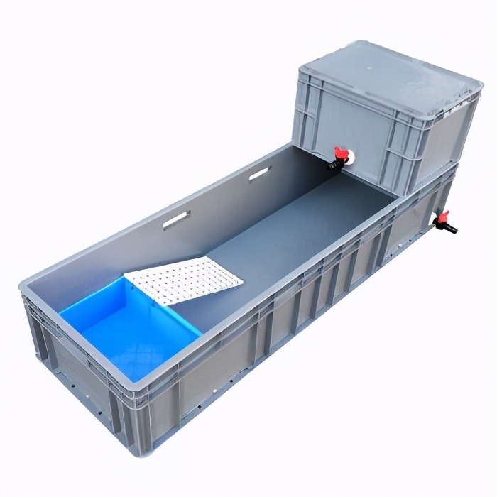 哈士奇地图龟怎么养,龟中的哈士奇地图龟