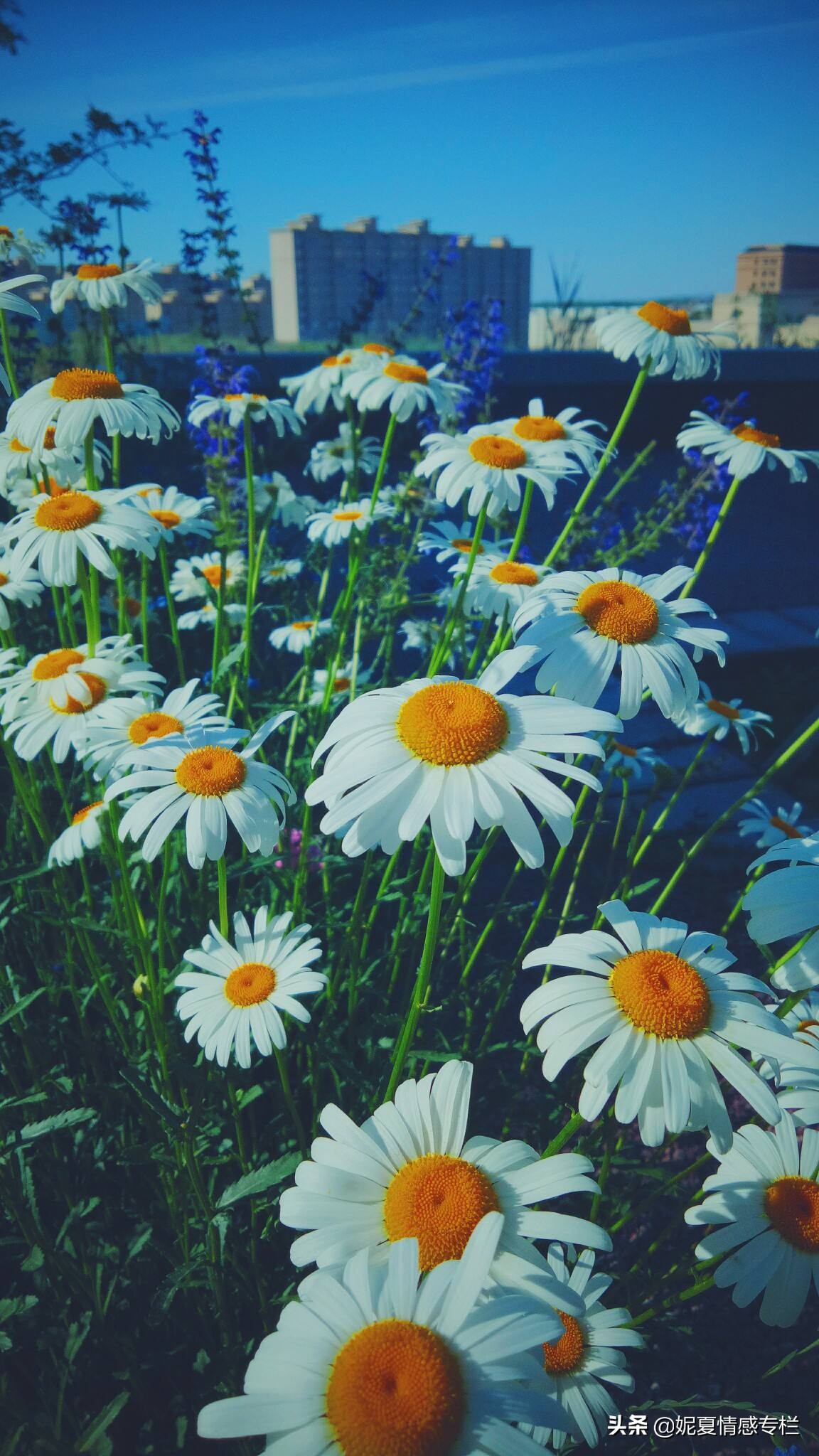 一封丈夫出轨的信,一封关于出轨的信