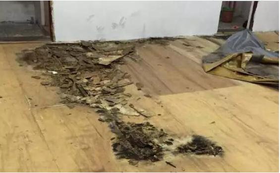 床的木板发霉了严重吗,房屋木板床发霉有霉菌怎么处理