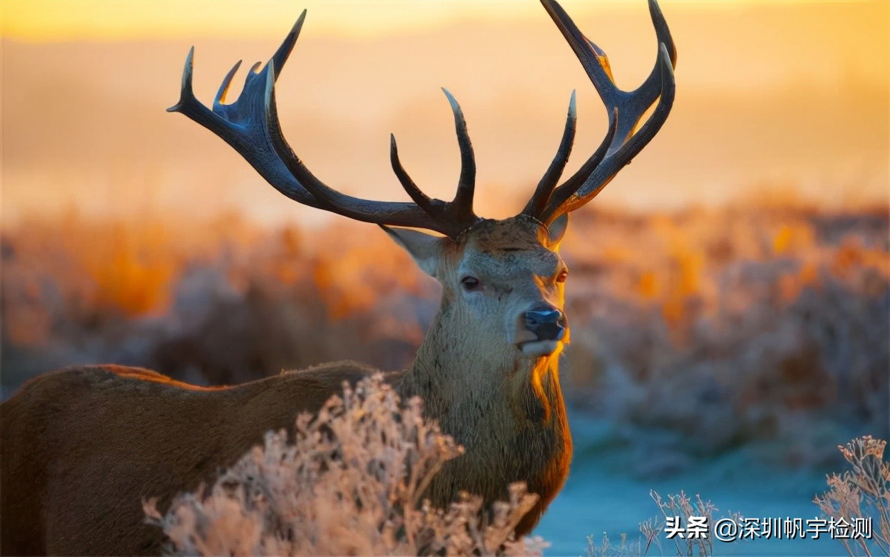 你还记得小时候的故乡吗,你还记得小时候的旧照片吗