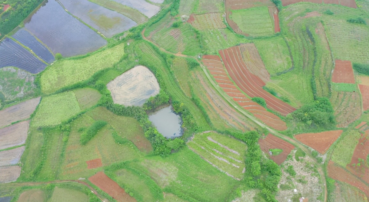 昔日的荒山早已变成了金山银山,昔日荒山变金山