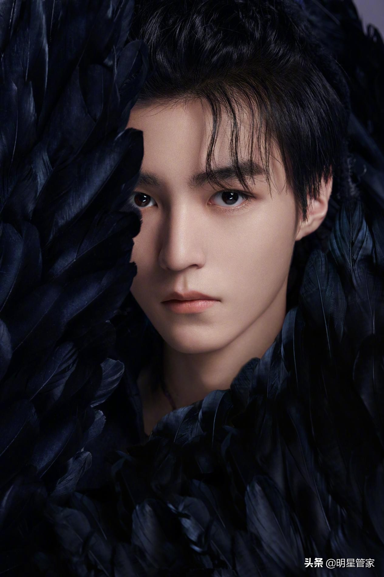 TFBOYS七周年回顾，实力与人缘大曝光，谁是你心目中的NO.1