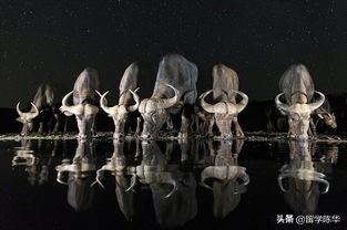 英国四月份有什么节日,英国主要节日英文介绍