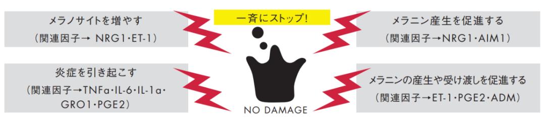 神仙打架！2021贵妇防晒大PK，POLA推出首款美白防晒