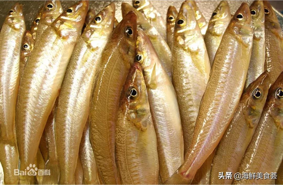适合用来烧烤的海鱼,适合烧烤的海鱼品种