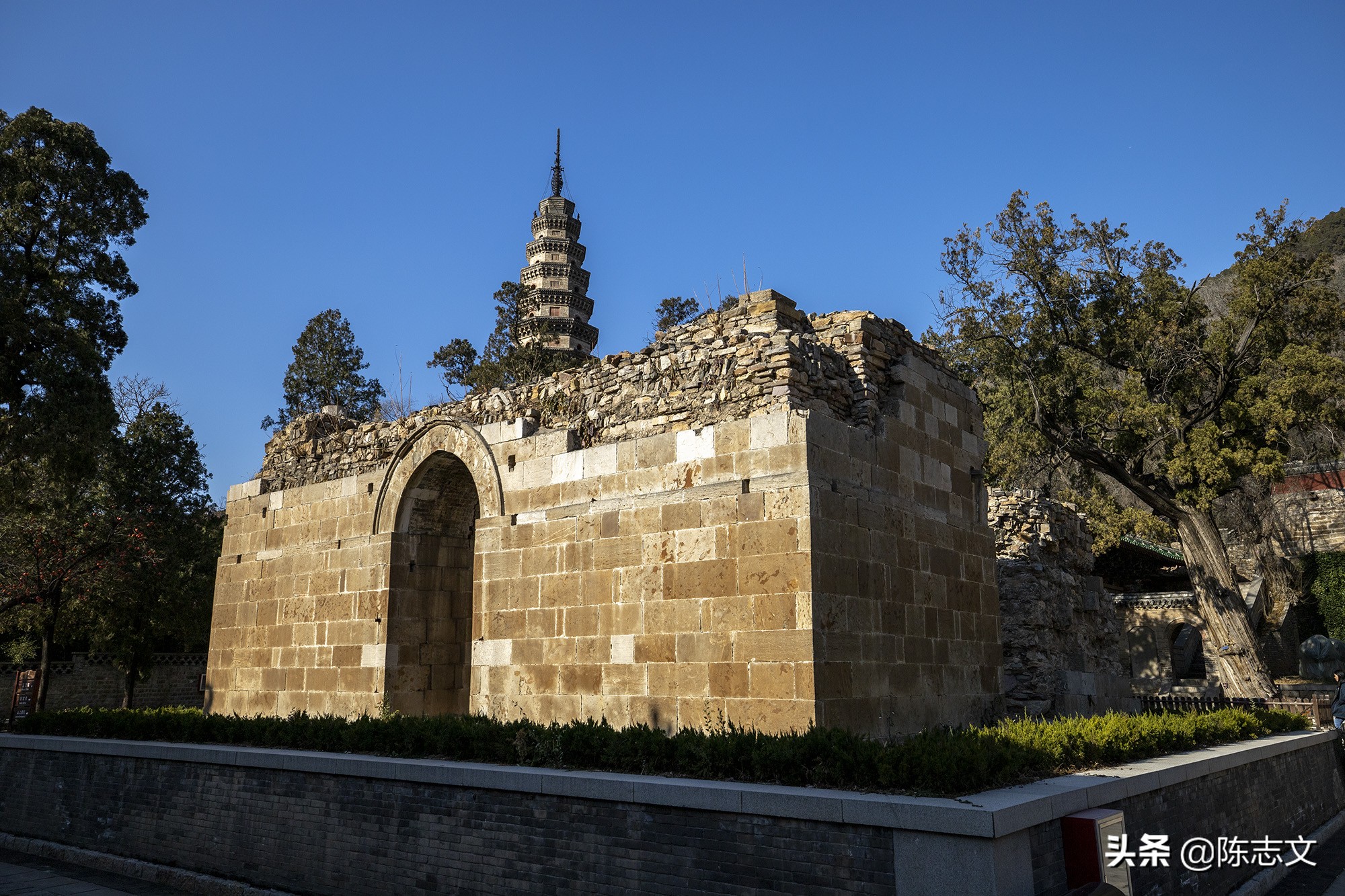 佛陀圆寂后几日火化,古代高僧圆寂视频