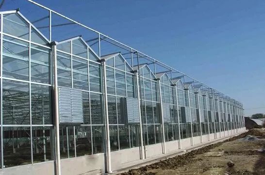 10种常见温室大棚优缺点大合集,选大棚看这一篇就够了