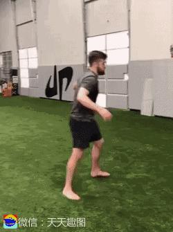 搞笑动图gif狗,搞笑动图gif沙雕