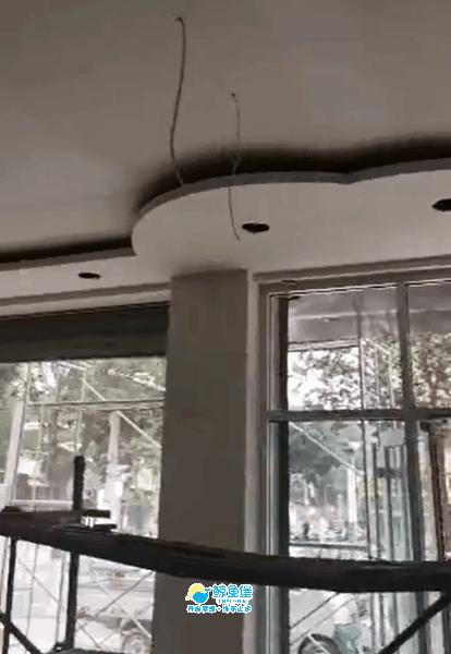 鲸鱼堡广东佛山南海店盛大开业,鲸鱼堡招商