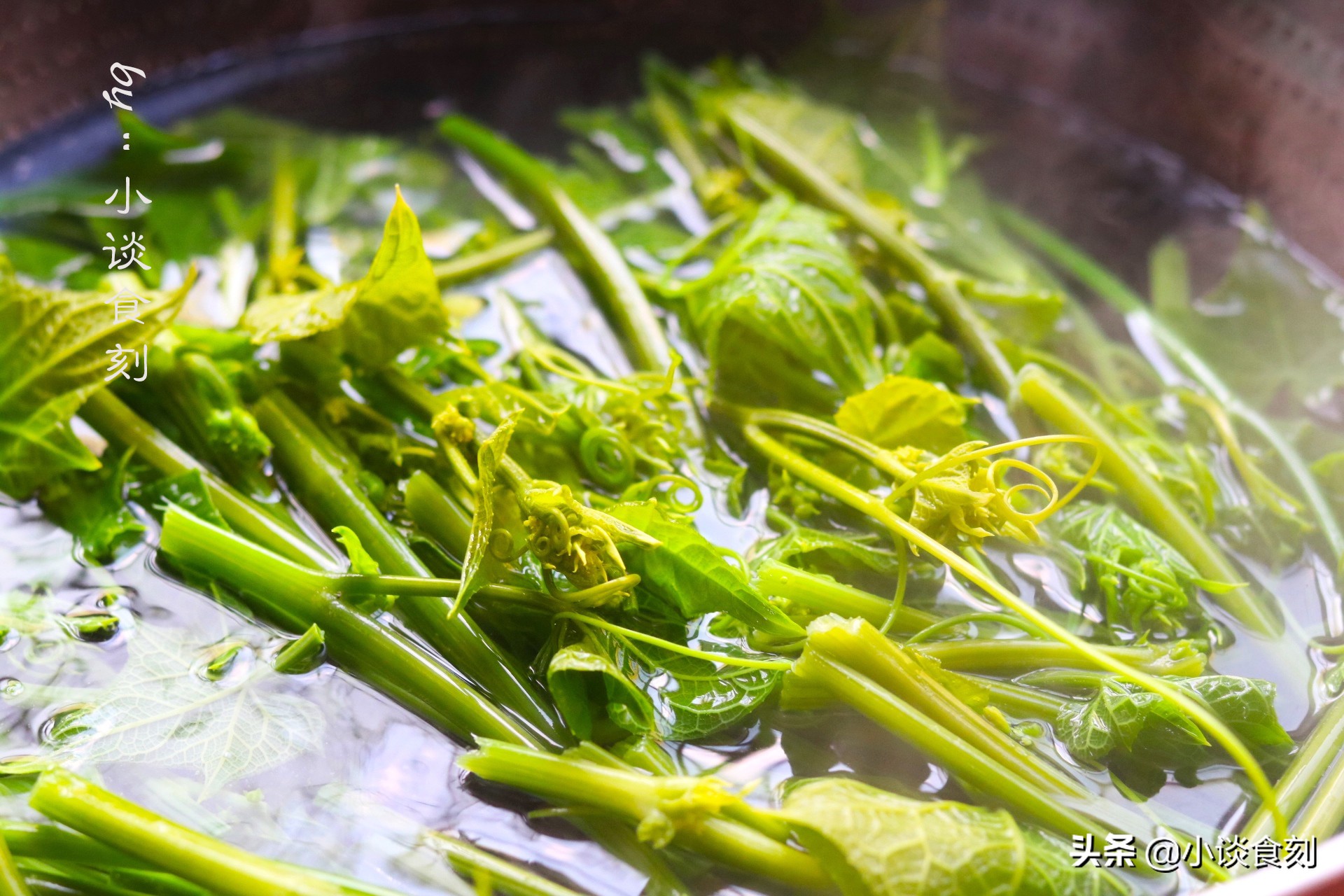 凉拌什么苗好吃又营养呢,什么菜苗可以凉拌好吃