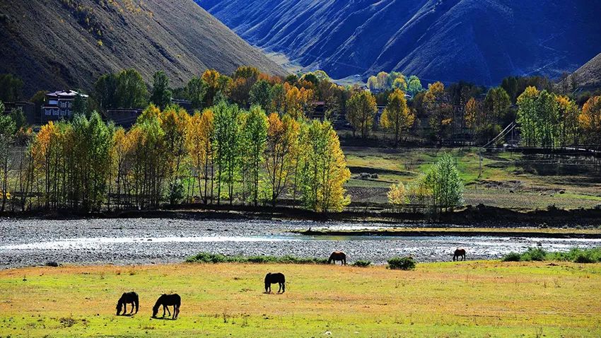 甘孜5日旅游攻略最新,四川旅游团去甘孜旅游攻略