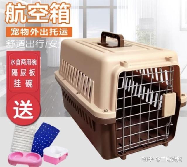 新手铲屎官去宠物店需要注意什么,新手铲屎官的真实故事