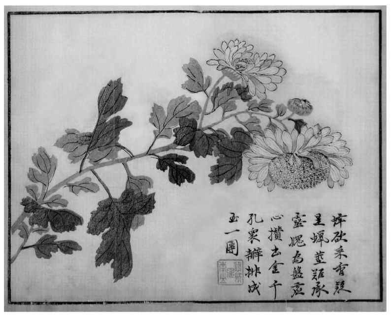 国画菊花的简单画法步骤图片,国画入门零基础自学画菊花