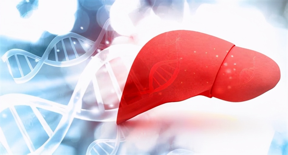 为什么肝血管瘤医生建议不用管,有了肝血管瘤要注意什么