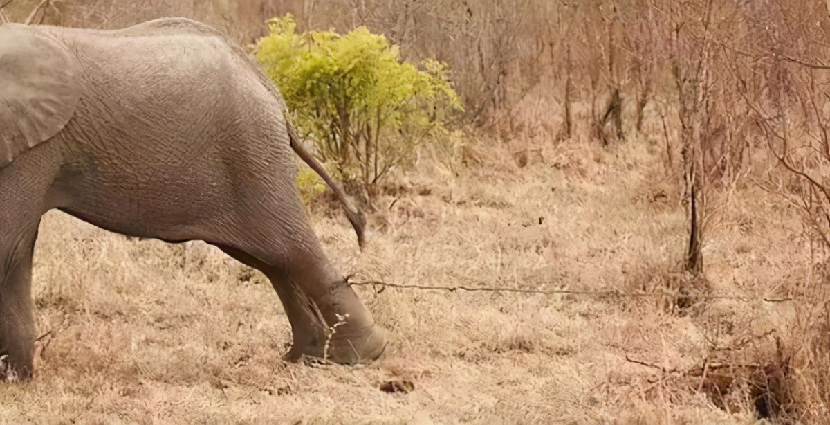 别再羡慕“北大屠夫”年销售20亿了:琢磨透这3点,你也行