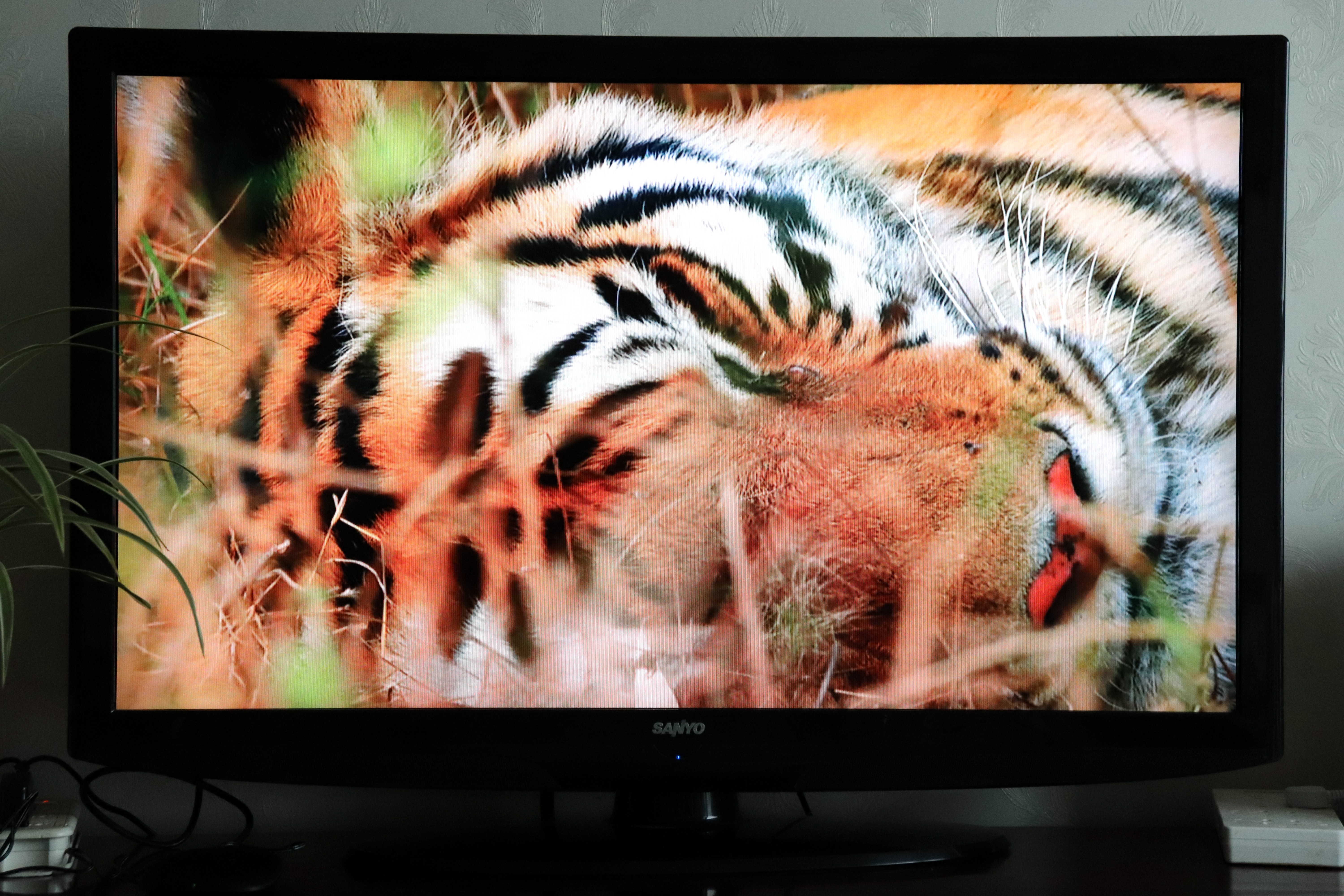 泰捷WE60Pro电视机顶盒,泰捷60c升级版电视盒子评测