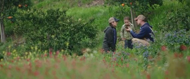 豆瓣9.3分这对夫妻打造1200亩生态农场，“堪称美版「李子柒」”