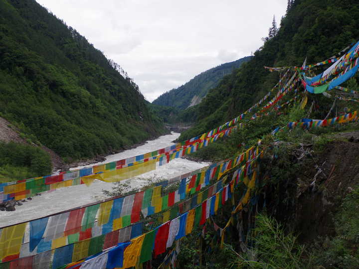 王小花的全部作品,王小花攻略