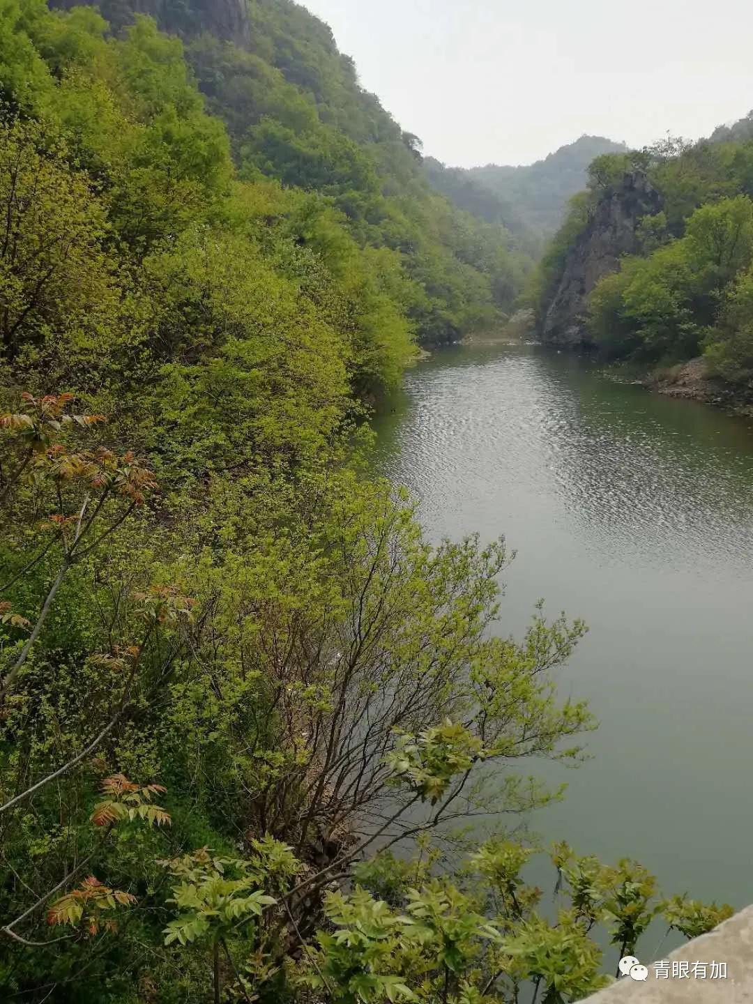 故事:老乐山山顶上的电视转播站