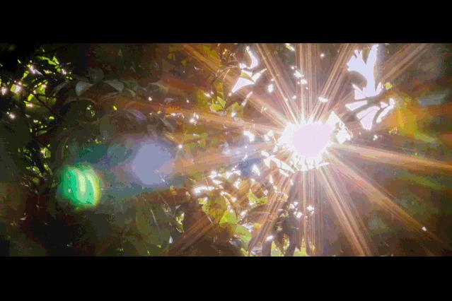 深圳最适合亲子游的好去处,深圳周末家庭游玩好去处