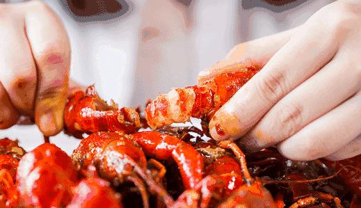 继小龙虾后,又一个“淡水虾王”溜进中国,小龙虾总算有接班人了