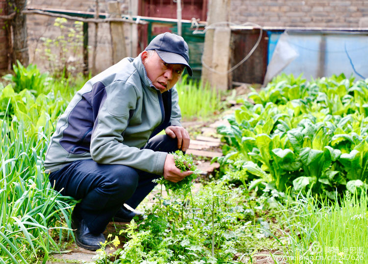 曾经的新安小香港,今日物是人非,探访洛阳水泥厂工人村