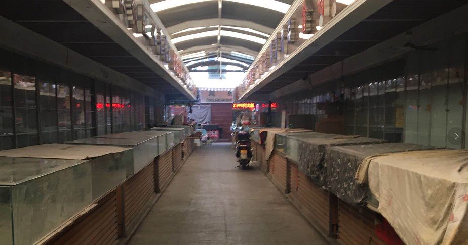 塘沽洋货市场,洋货市场在哪